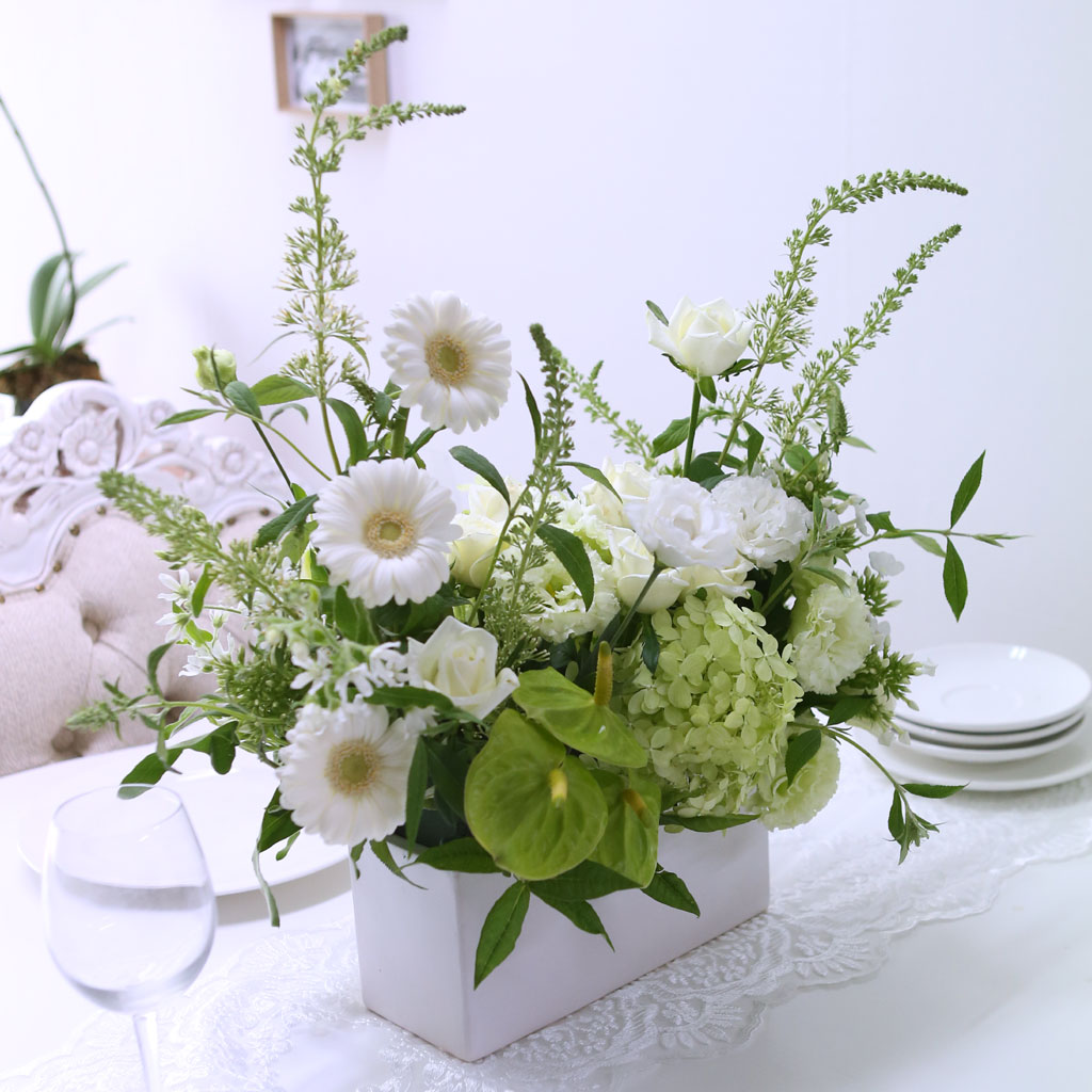 [/ǹ]Yes it is -  ϰ ູ ھ  ɹ