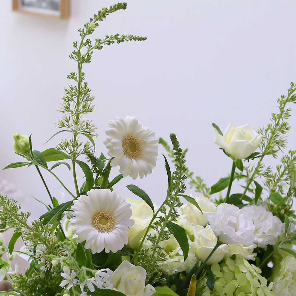 [/ǹ]Yes it is -  ϰ ູ ھ  ɹ