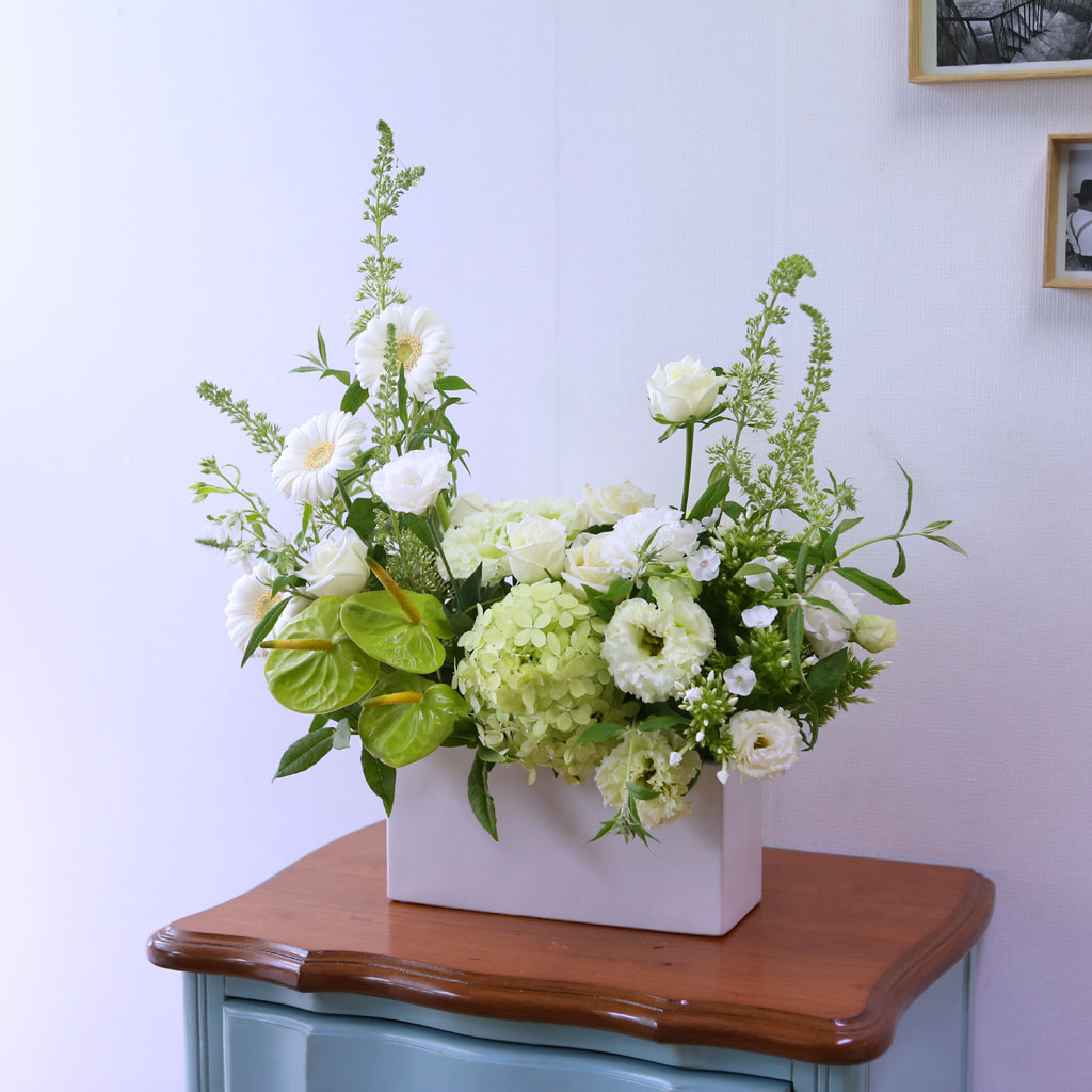 [/ǹ]Yes it is -  ϰ ູ ھ  ɹ