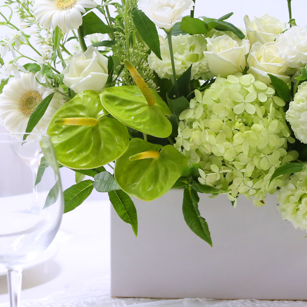 [/ǹ]Yes it is -  ϰ ູ ھ  ɹ