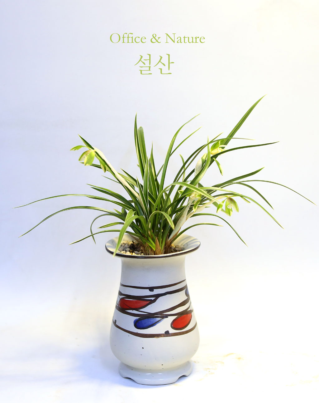 Office & Nature ���� ���� �ɹ��