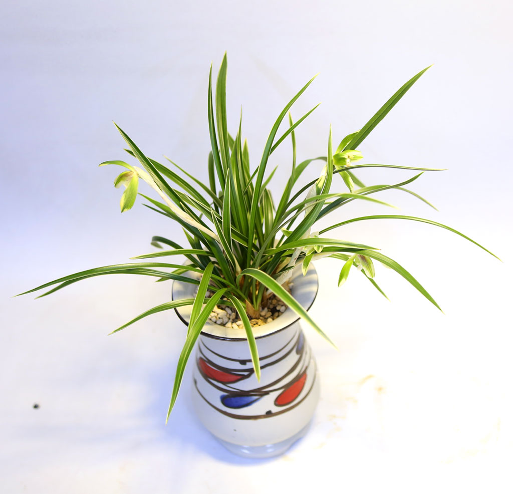 Office & Nature ���� ���� �ɹ��