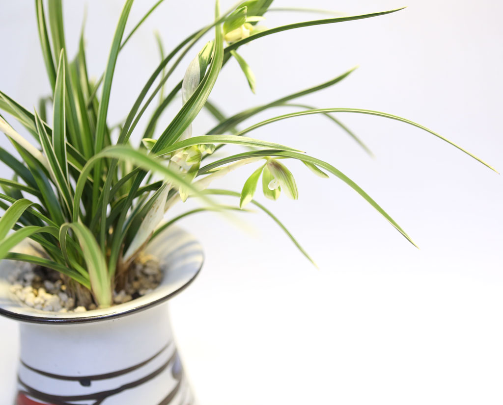 Office & Nature ���� ���� �ɹ��