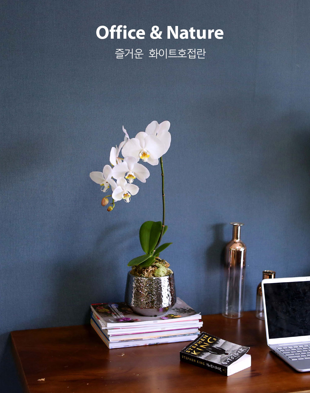 Office & Nature Áñ°Å¿î ÈÀÌÆ® È£Á¢¶õ (¼Ò)