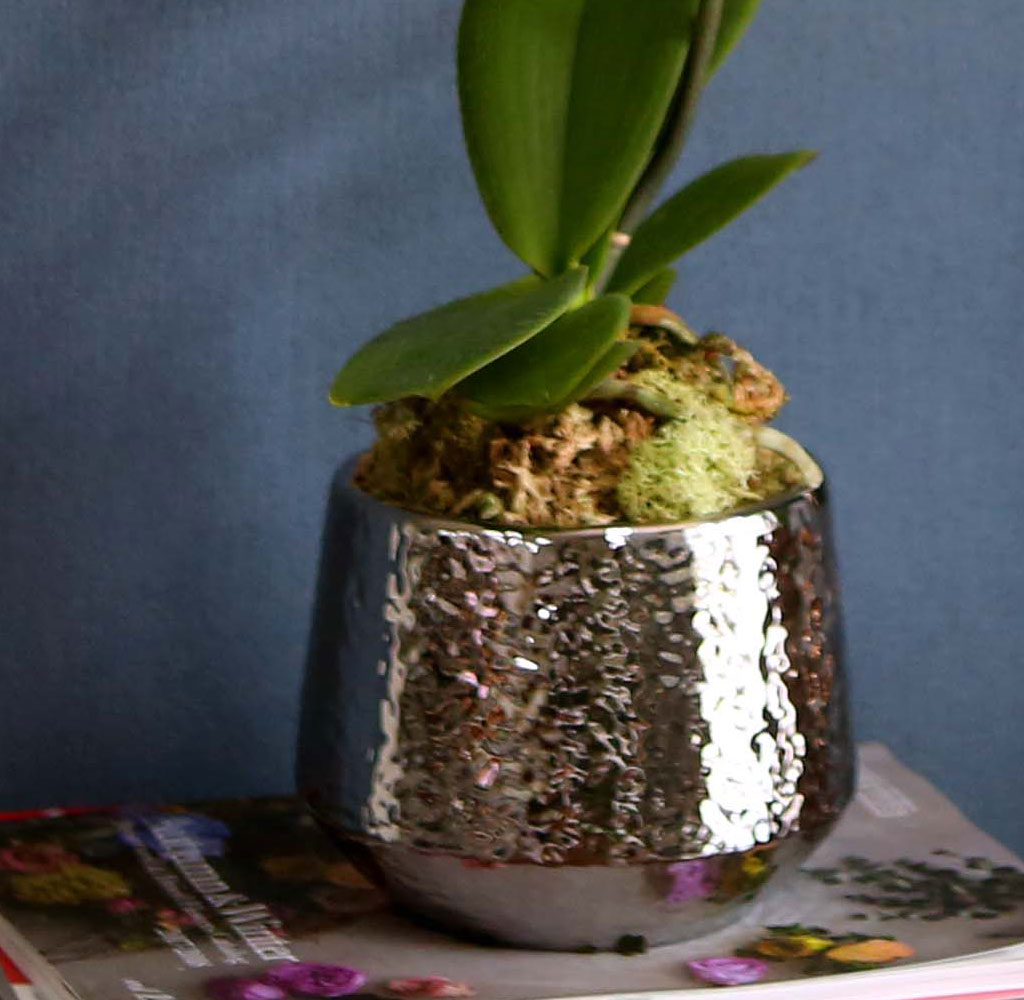 Office & Nature Áñ°Å¿î ÈÀÌÆ® È£Á¢¶õ (¼Ò)