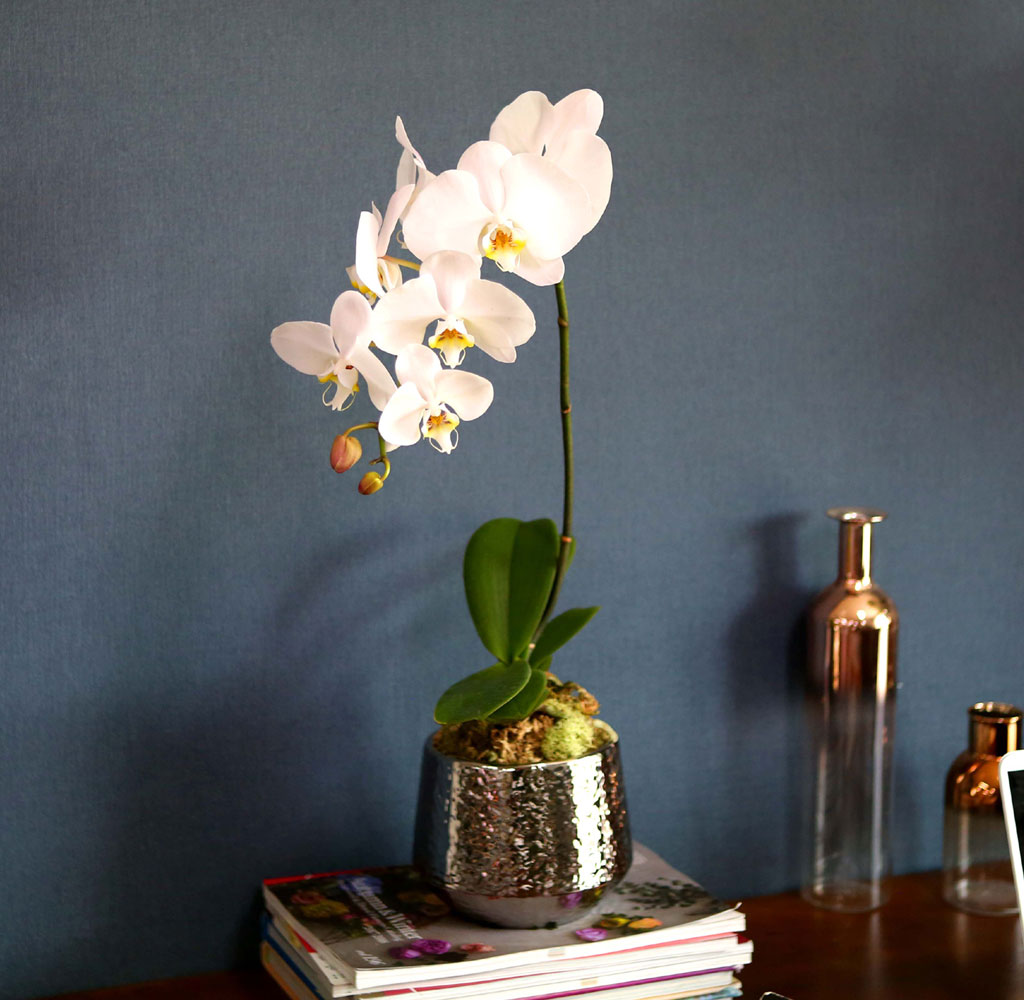 Office & Nature Áñ°Å¿î ÈÀÌÆ® È£Á¢¶õ (¼Ò)