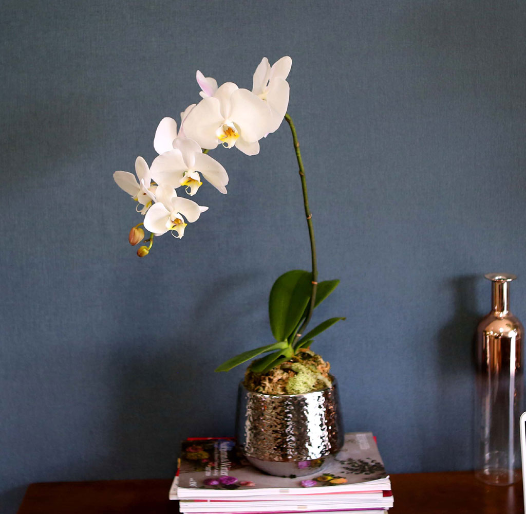 Office & Nature Áñ°Å¿î ÈÀÌÆ® È£Á¢¶õ (¼Ò)