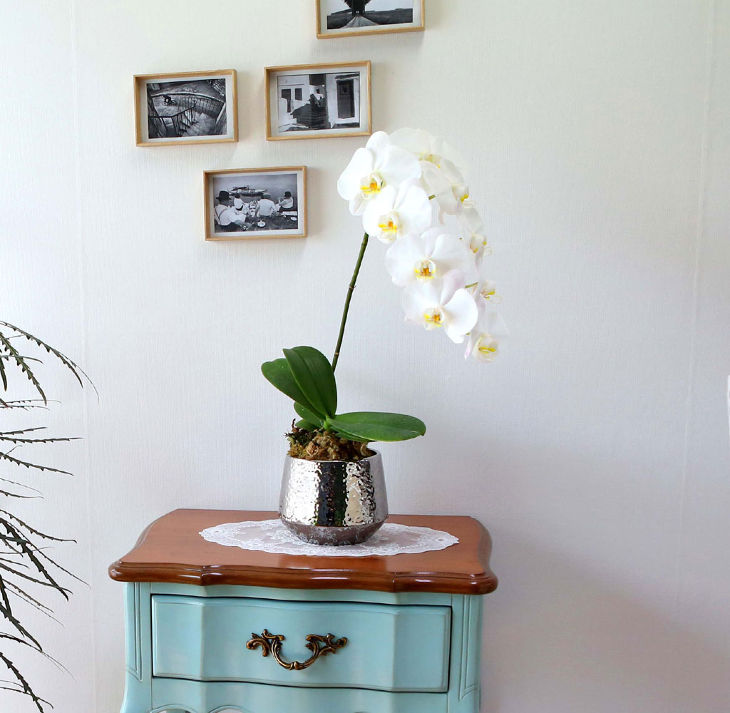 Office & Nature Áñ°Å¿î ÈÀÌÆ® È£Á¢¶õ (¼Ò)