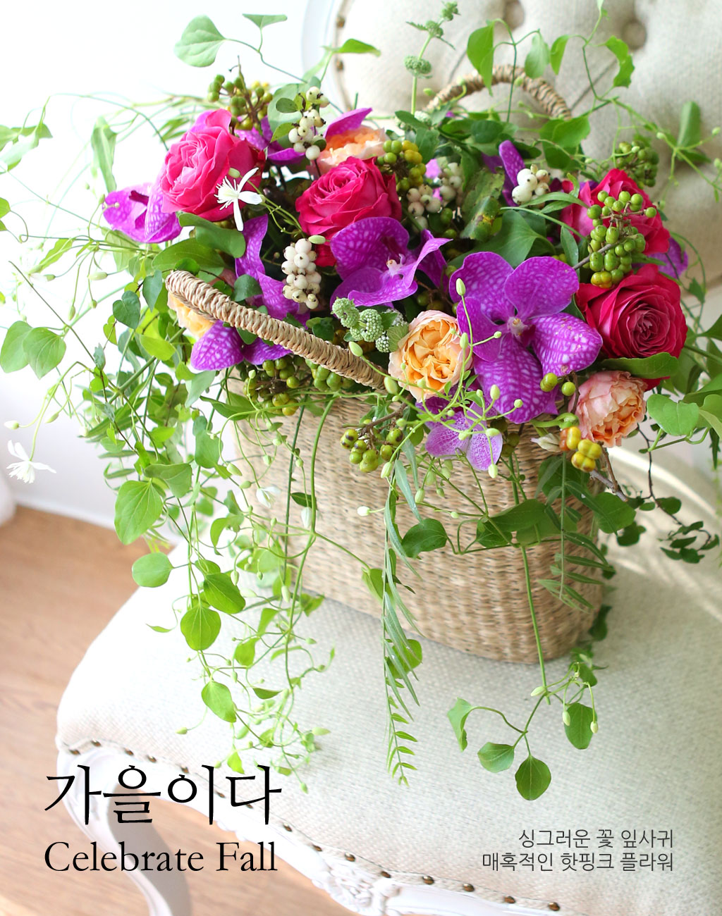 Celebrate Fall - ̴  ɹ