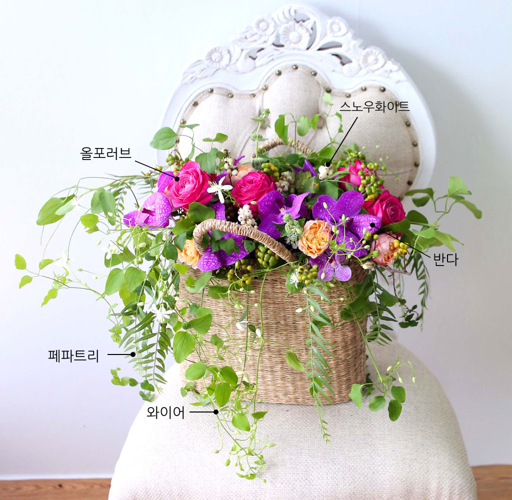 Celebrate Fall - ̴  ɹ