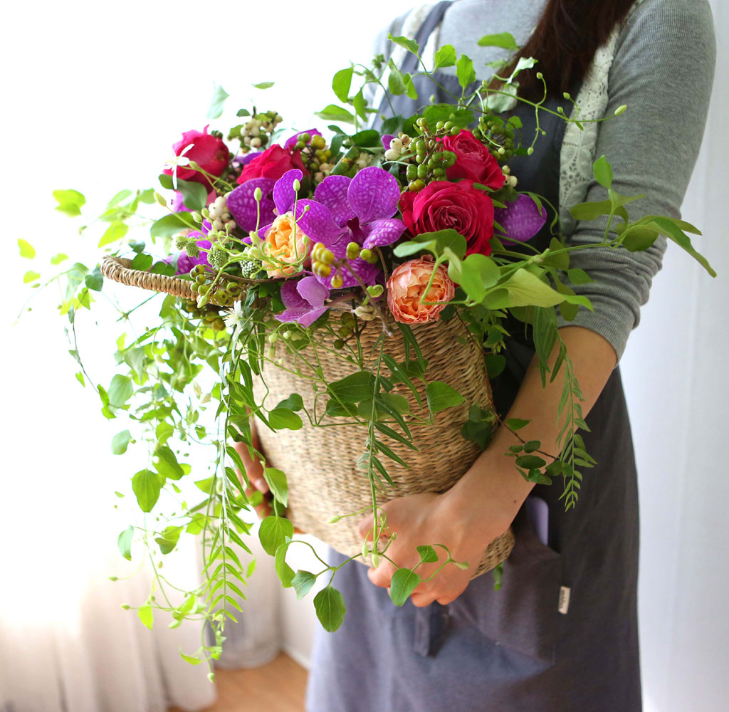 Celebrate Fall - ̴  ɹ