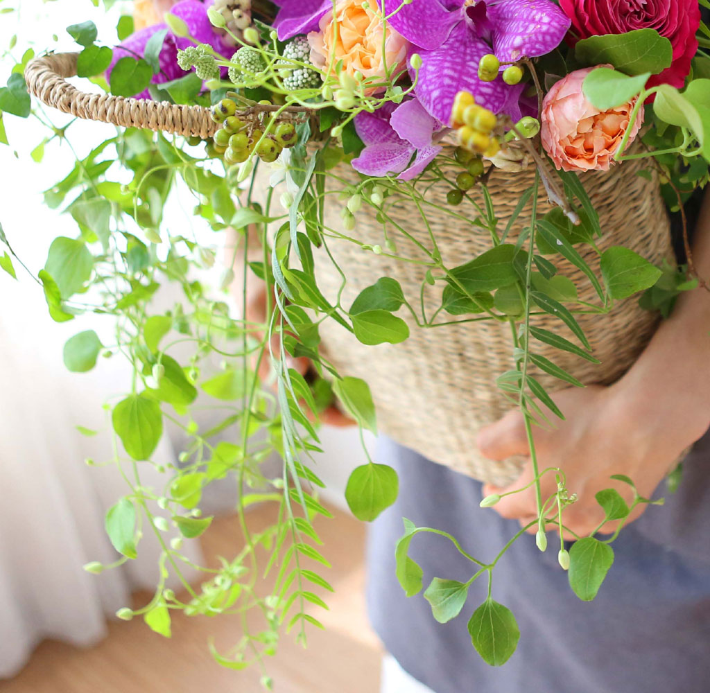 Celebrate Fall - ̴  ɹ