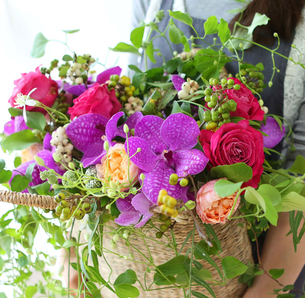 Celebrate Fall - ̴  ɹ