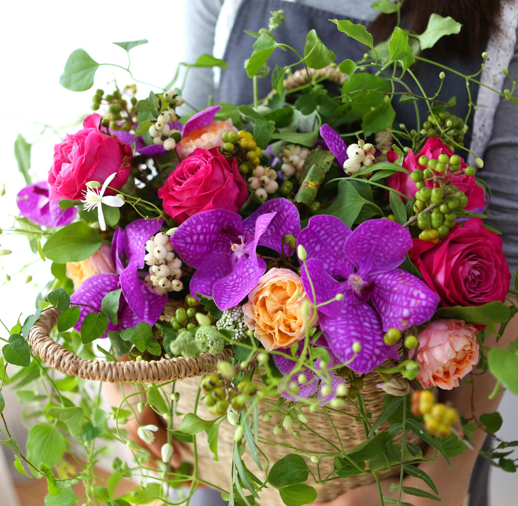 Celebrate Fall - ̴  ɹ