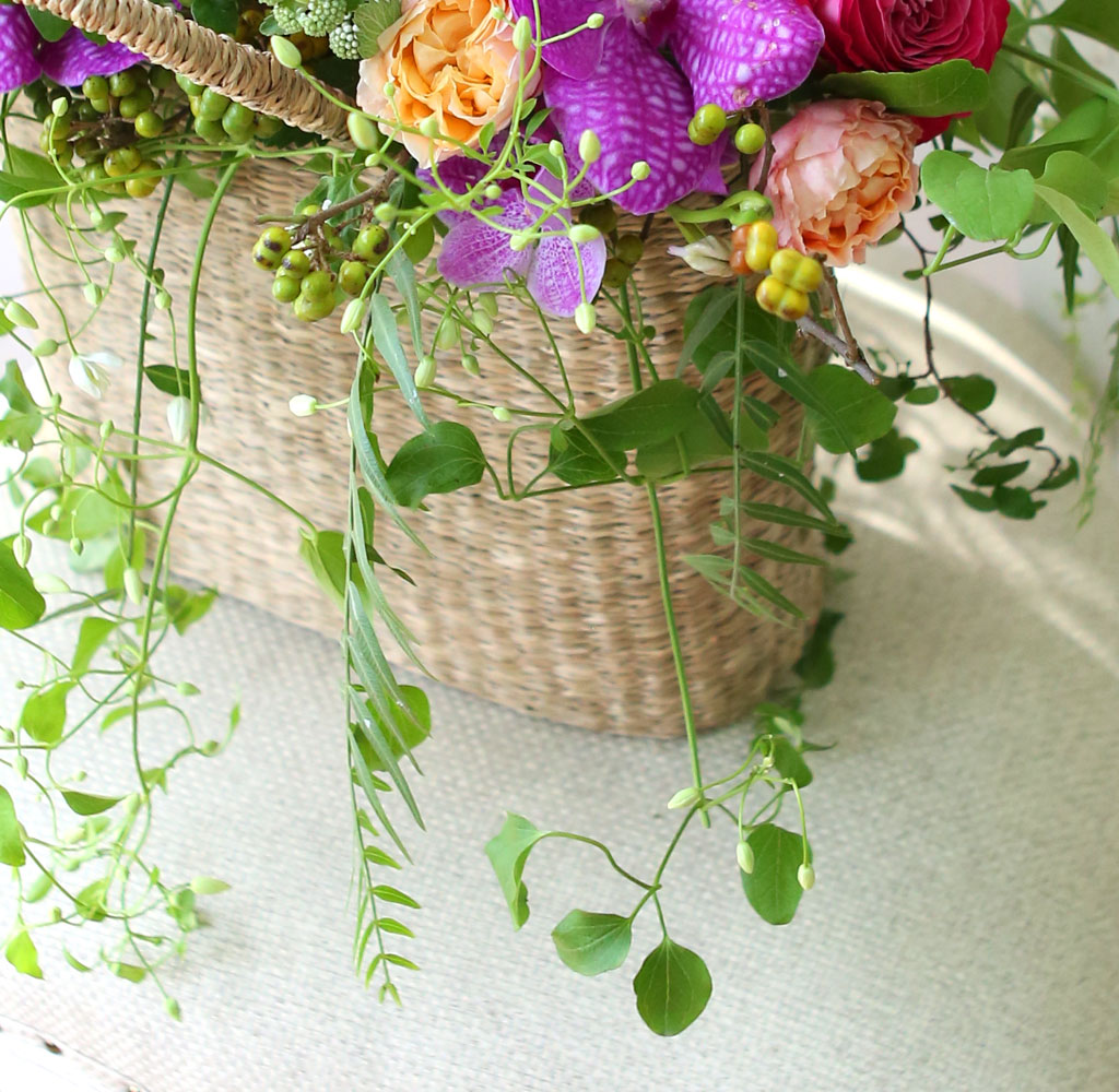 Celebrate Fall - ̴  ɹ