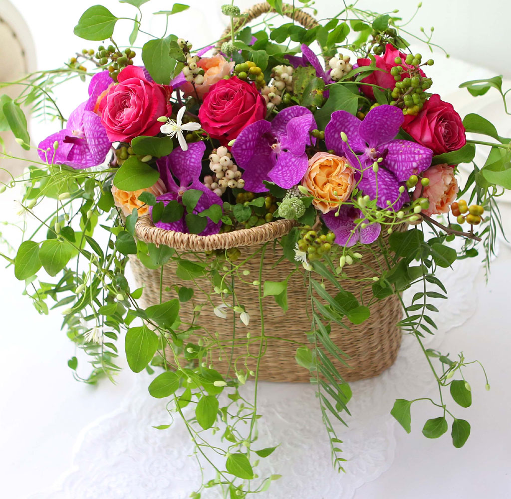 Celebrate Fall - ̴  ɹ