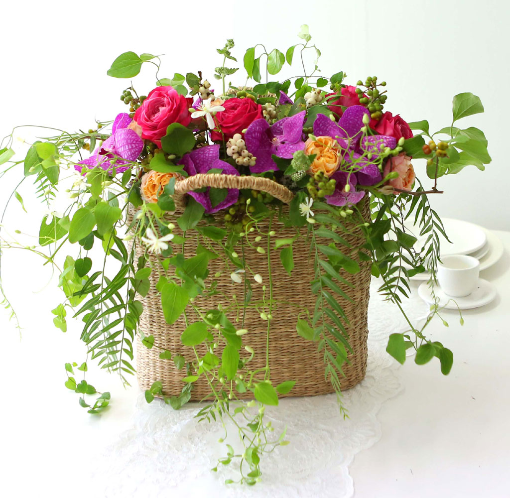 Celebrate Fall - ̴  ɹ