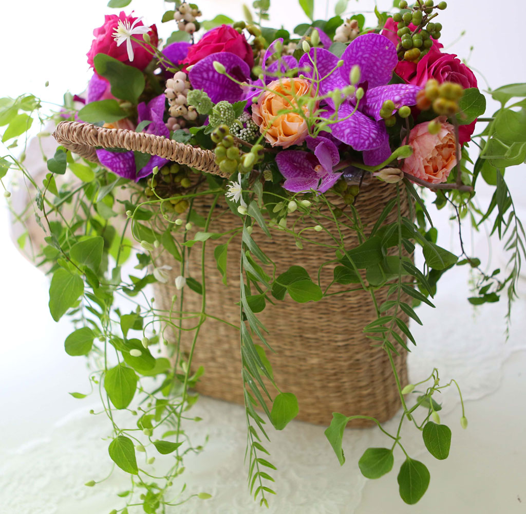 Celebrate Fall - ̴  ɹ