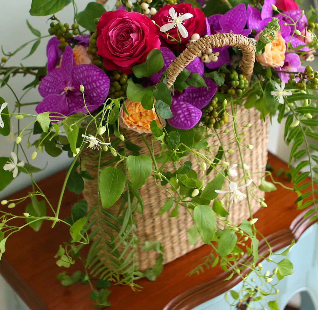 Celebrate Fall - ̴  ɹ