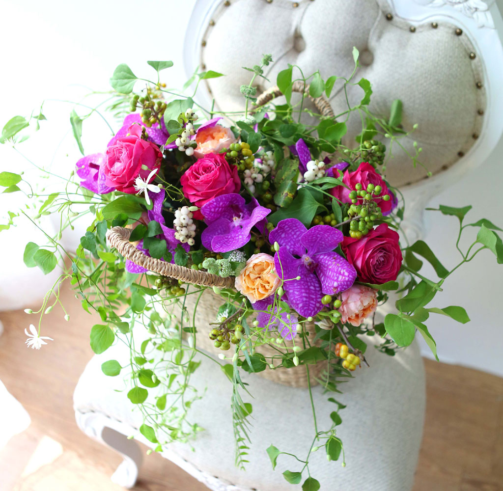 Celebrate Fall - ̴  ɹ