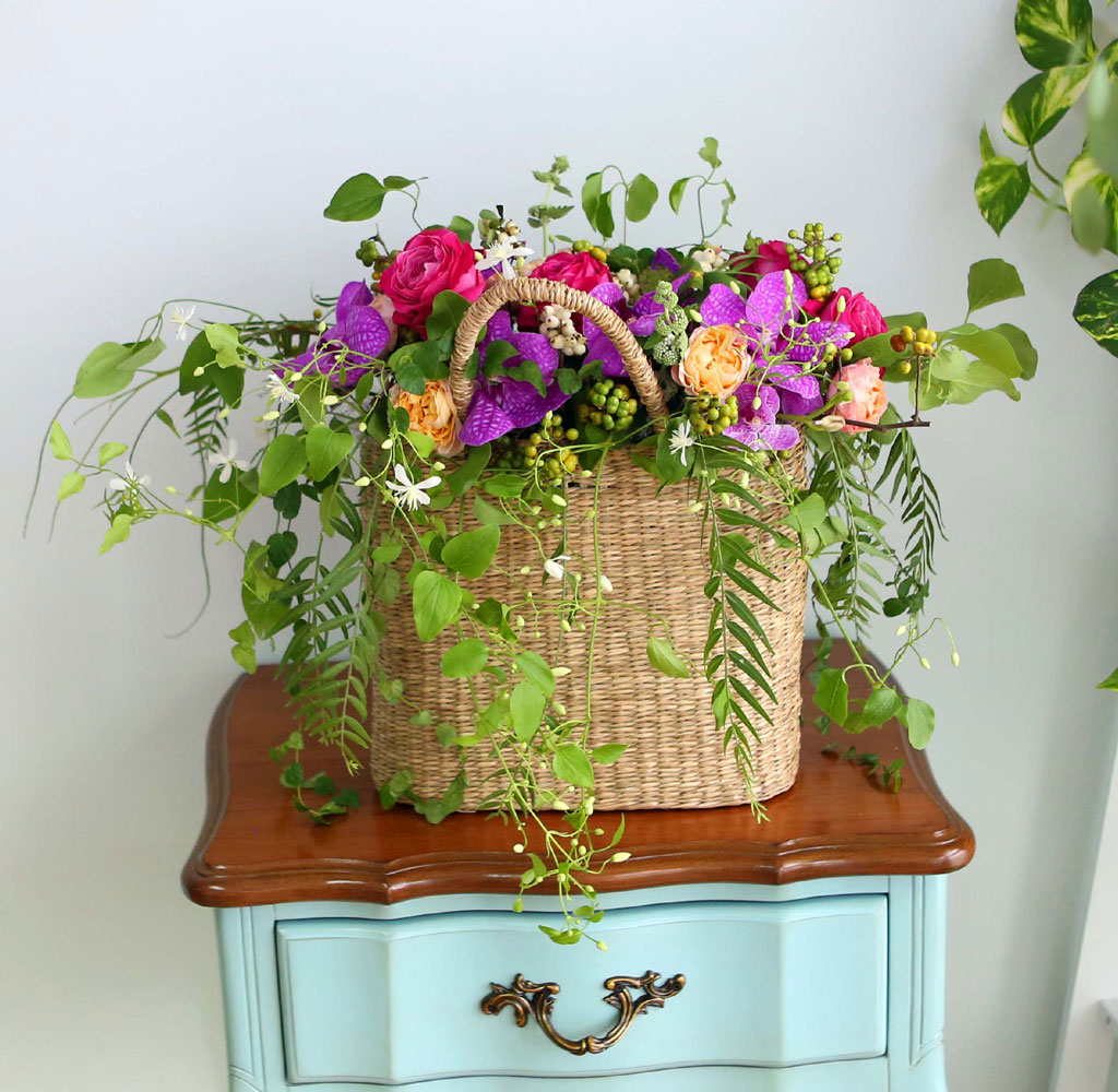 Celebrate Fall - ̴  ɹ