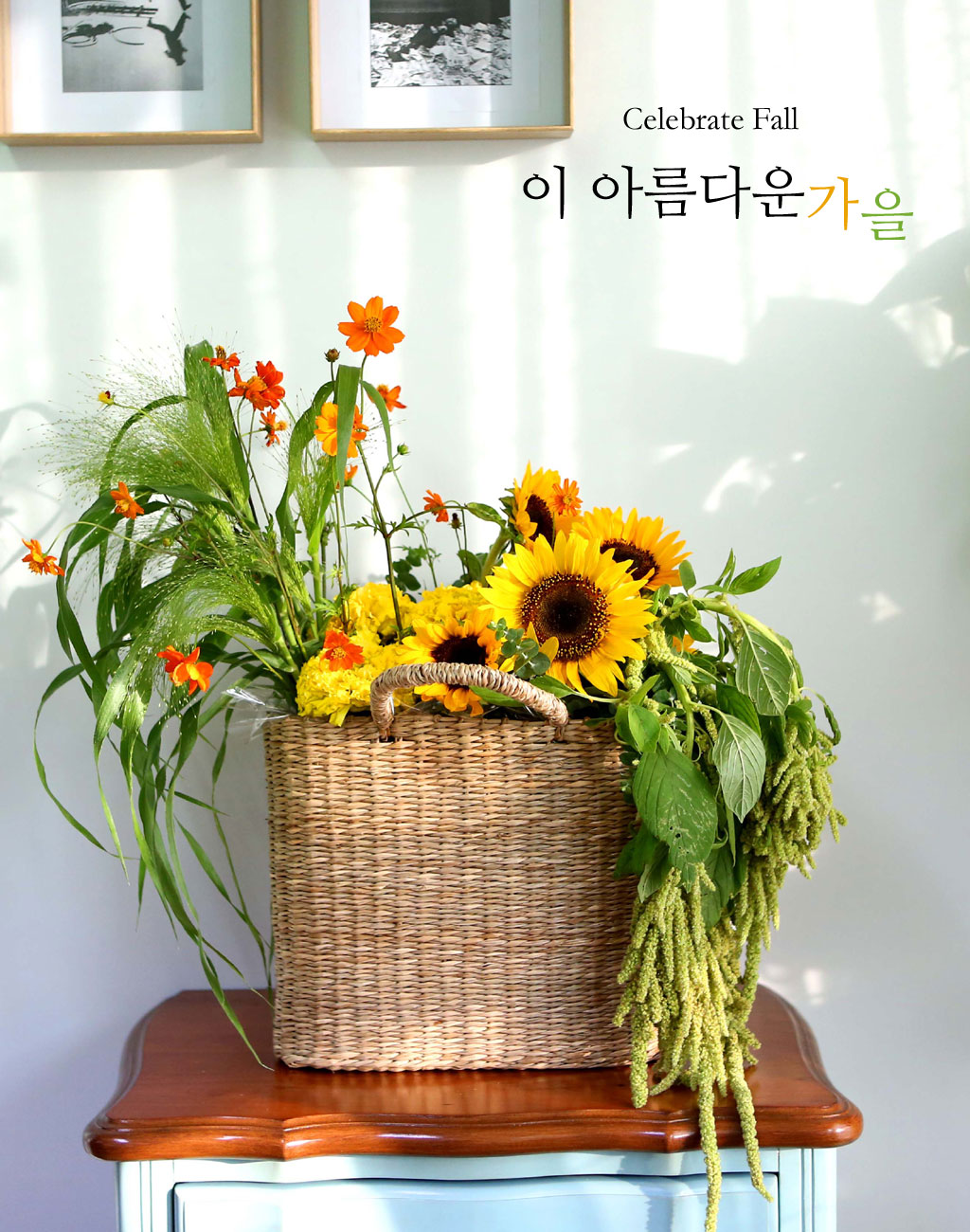 [] Celebrate Fall -  Ƹٿ   ɹ