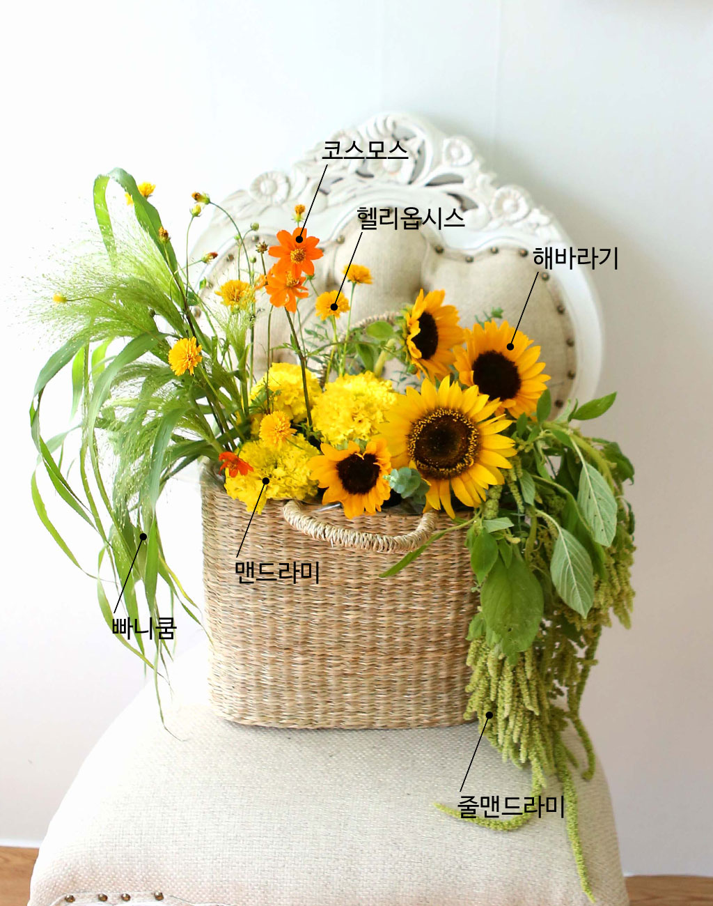 [] Celebrate Fall -  Ƹٿ   ɹ