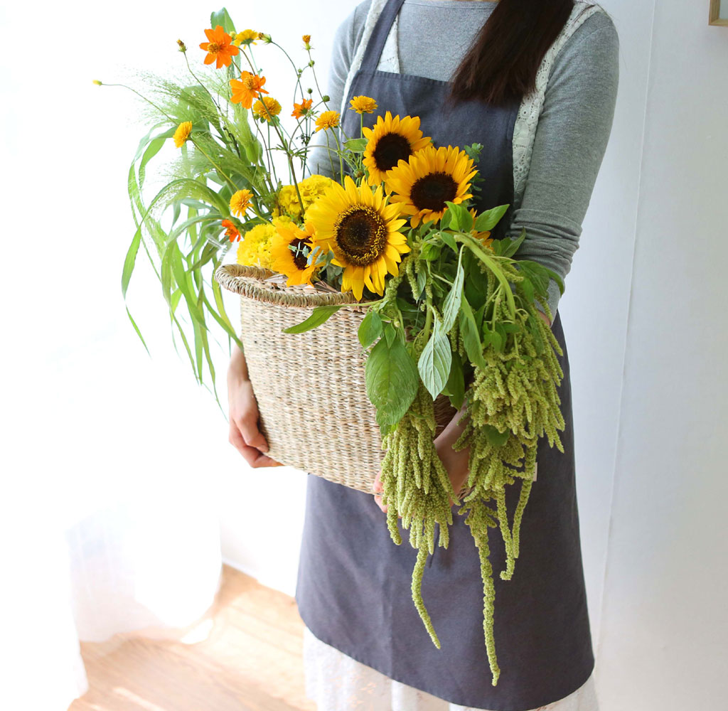 [] Celebrate Fall -  Ƹٿ   ɹ