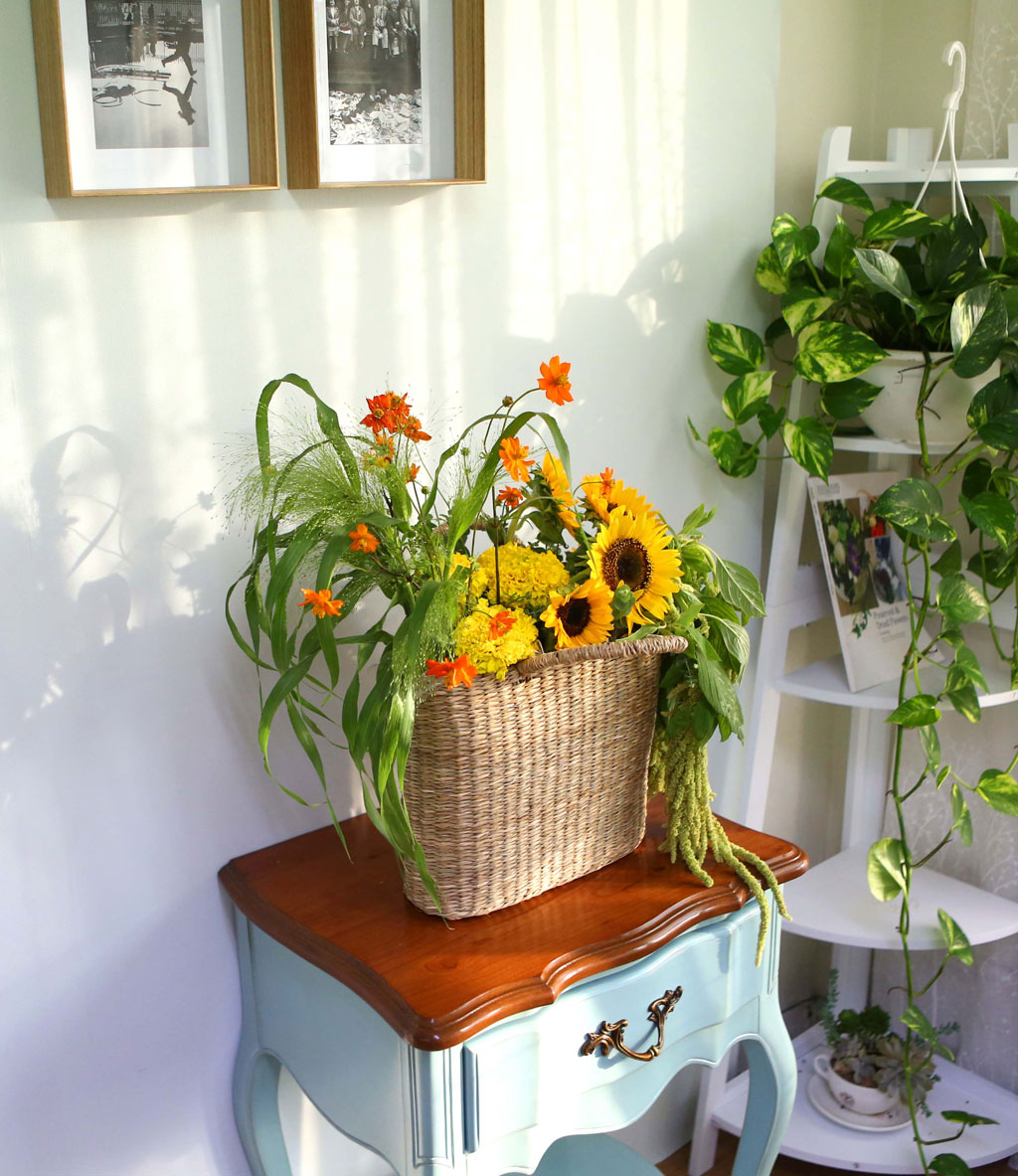 [] Celebrate Fall -  Ƹٿ   ɹ