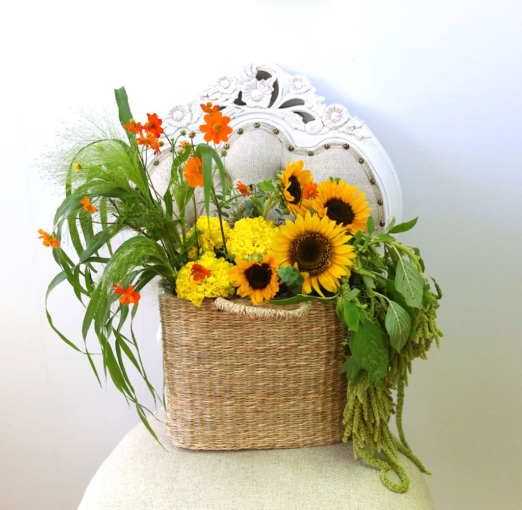 [] Celebrate Fall -  Ƹٿ   ɹ