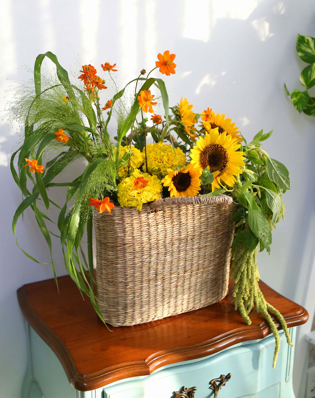 [] Celebrate Fall -  Ƹٿ   ɹ