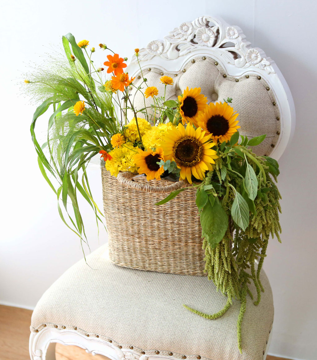 [] Celebrate Fall -  Ƹٿ   ɹ