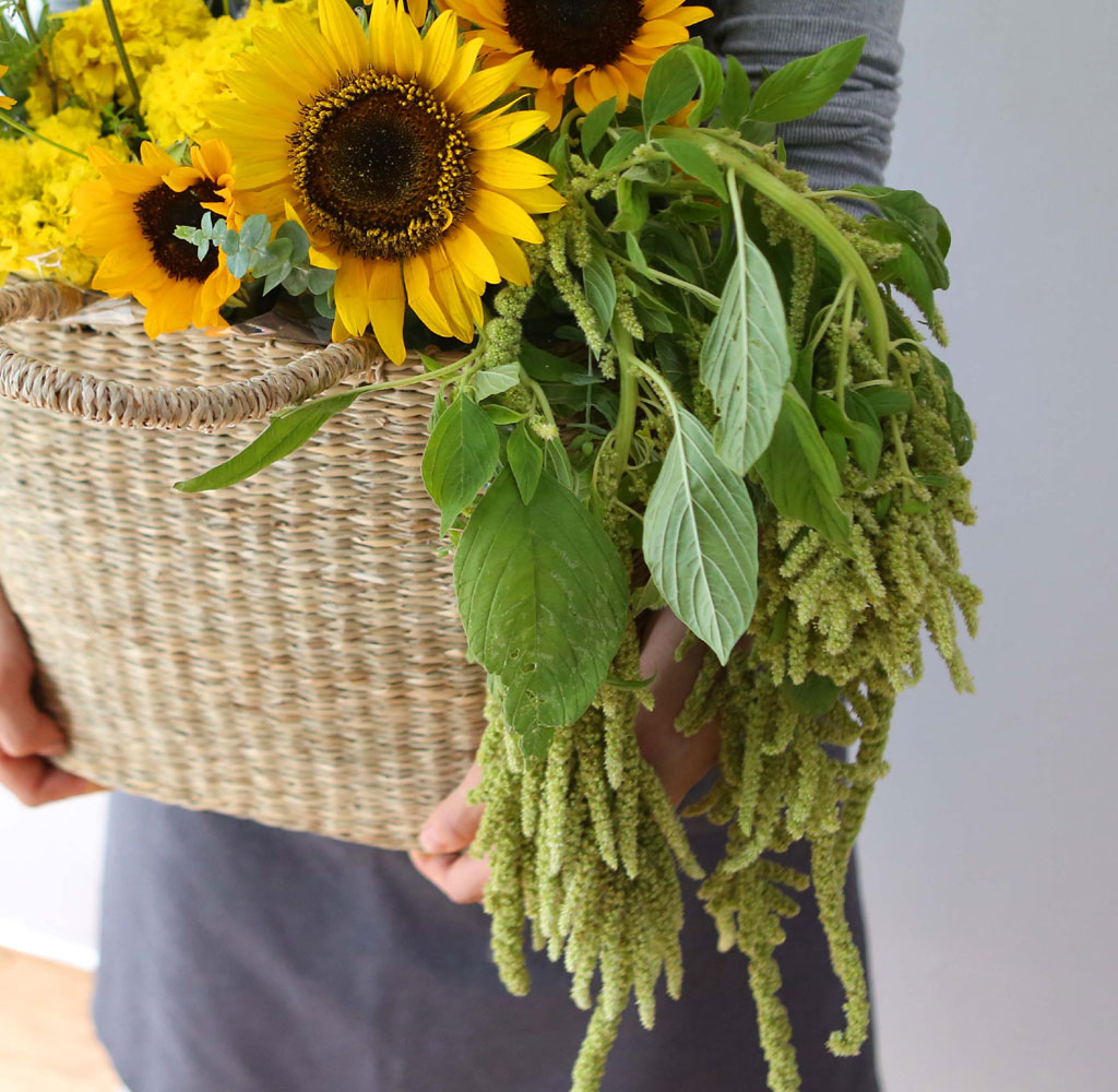 [] Celebrate Fall -  Ƹٿ   ɹ