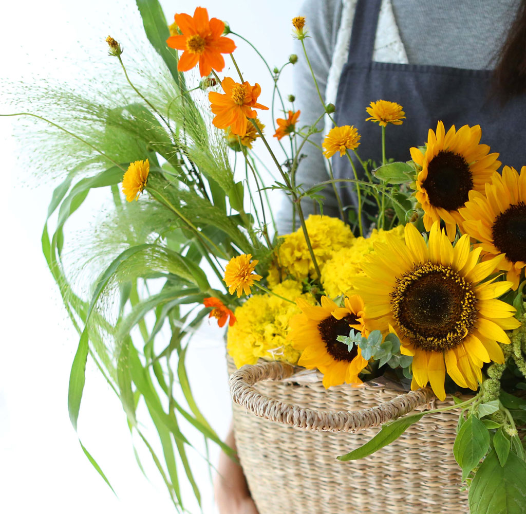 [] Celebrate Fall -  Ƹٿ   ɹ