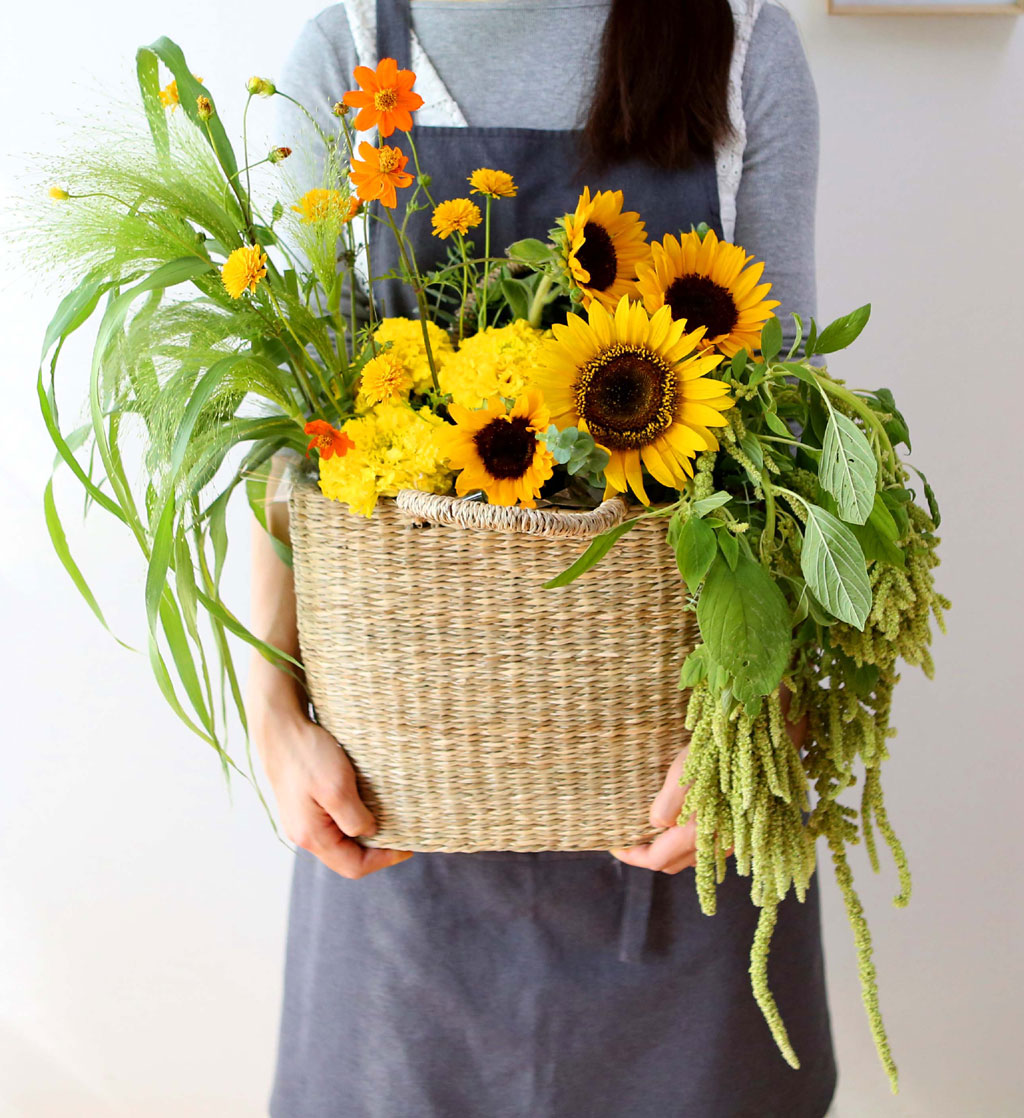 [] Celebrate Fall -  Ƹٿ   ɹ