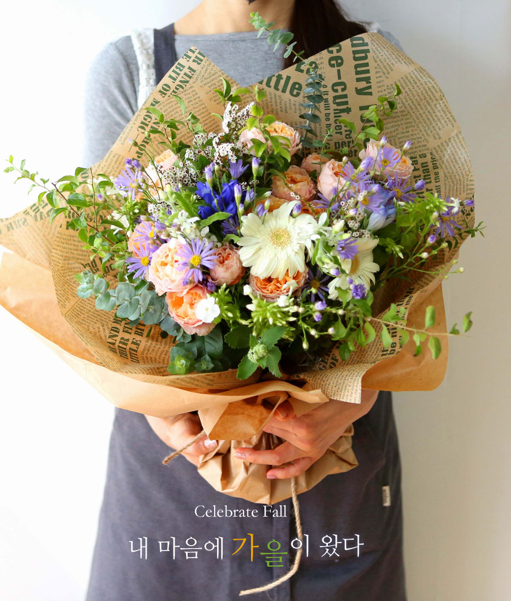 [/ǹ]Celebrate Fall -    Դ  ɹ