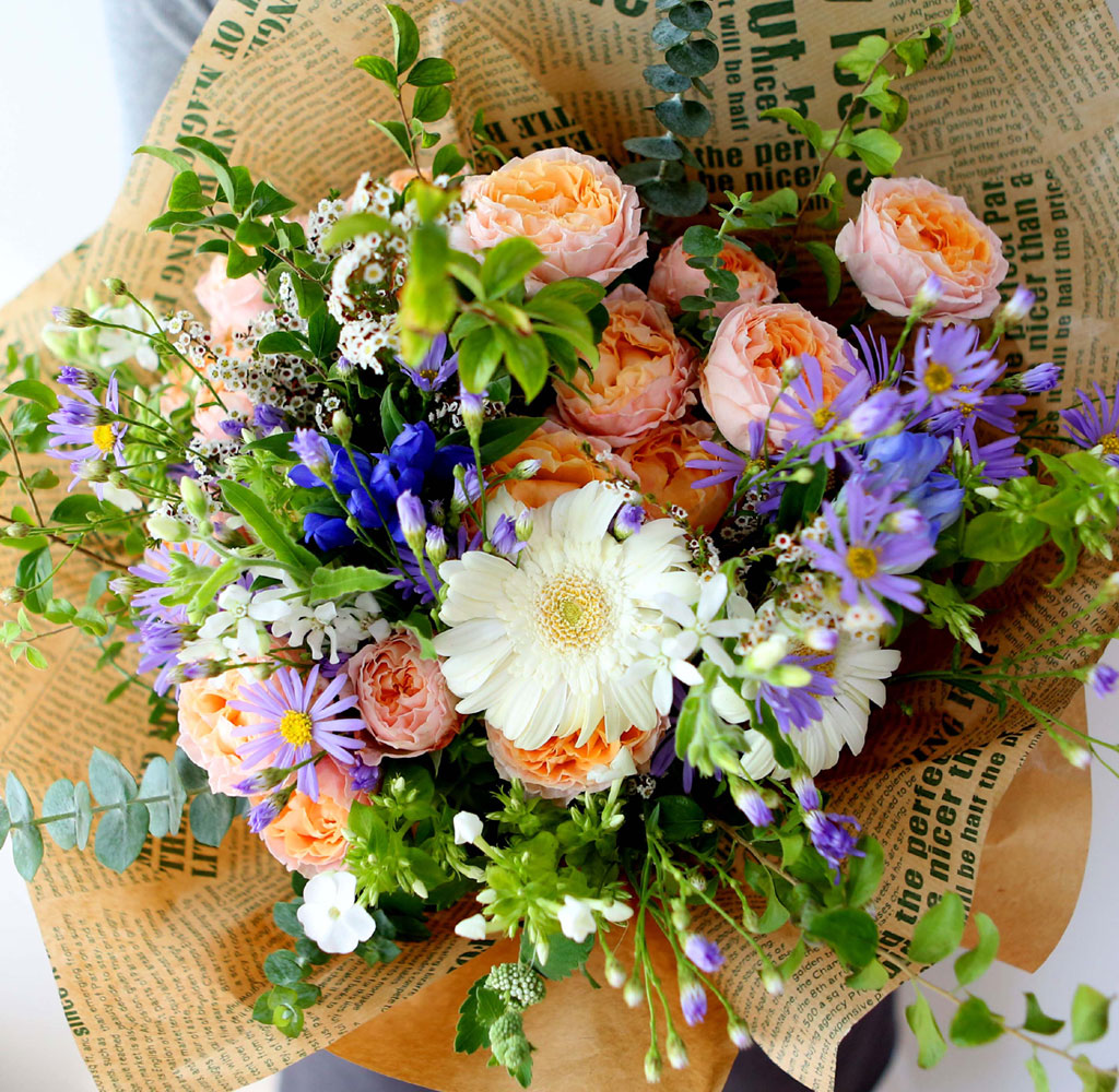 [/ǹ]Celebrate Fall -    Դ  ɹ