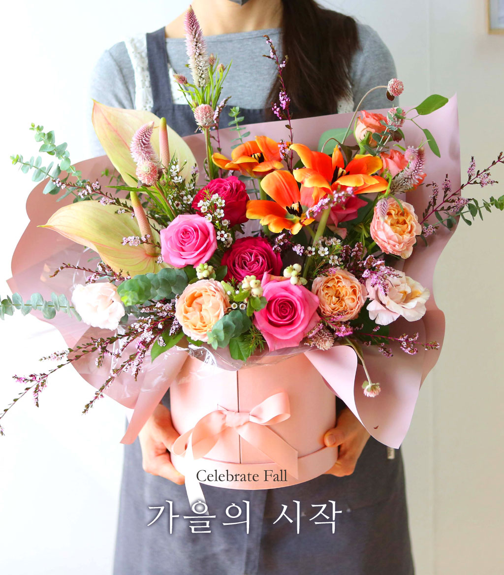 Celebrate Fall -    ɹ