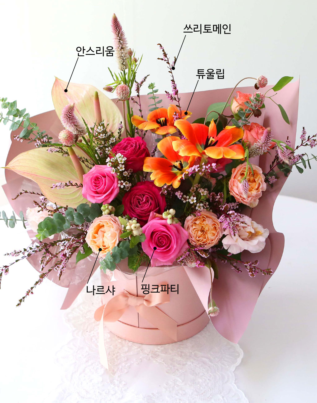 Celebrate Fall -    ɹ