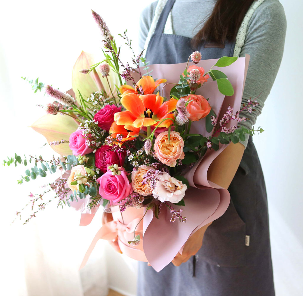 Celebrate Fall -    ɹ