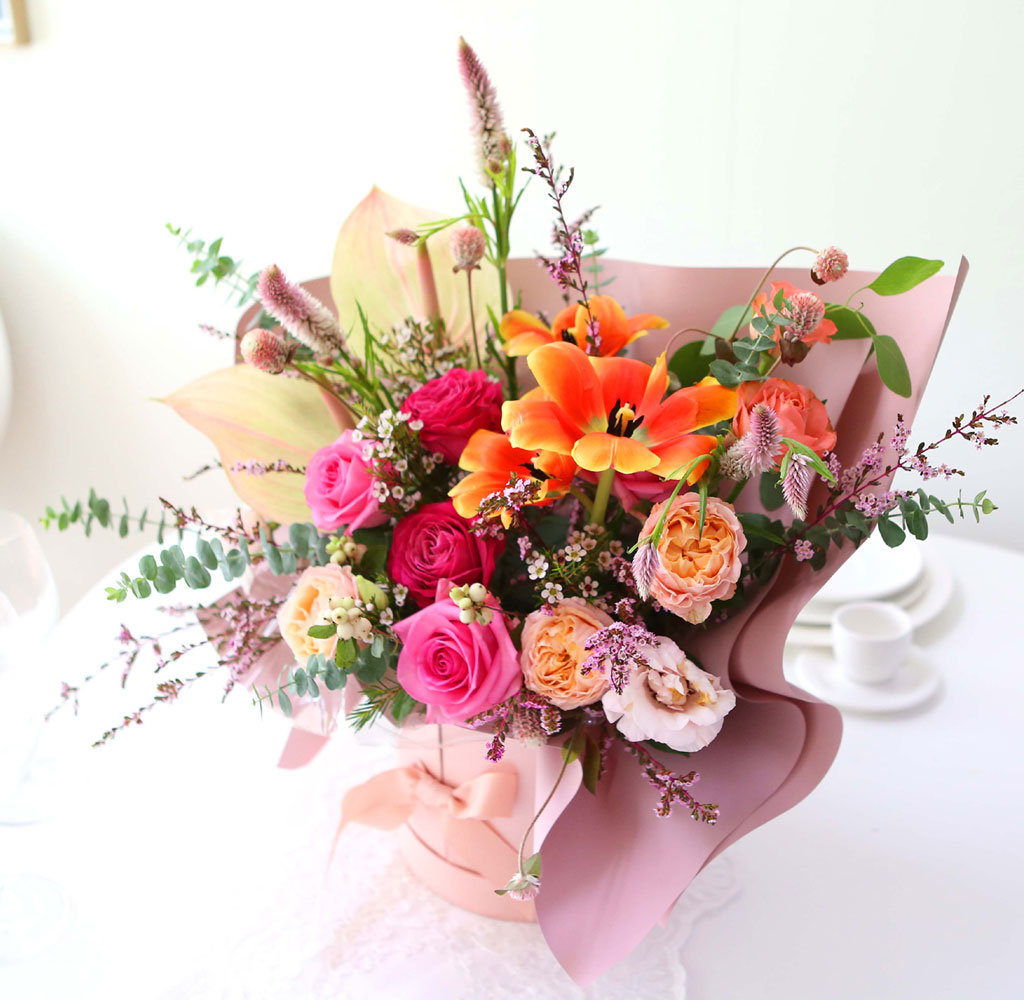 Celebrate Fall -    ɹ