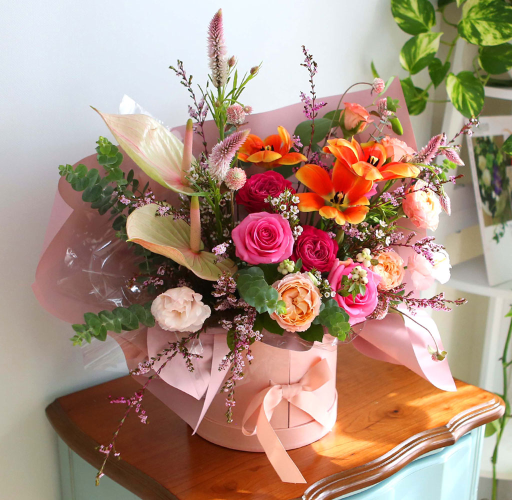 Celebrate Fall -    ɹ