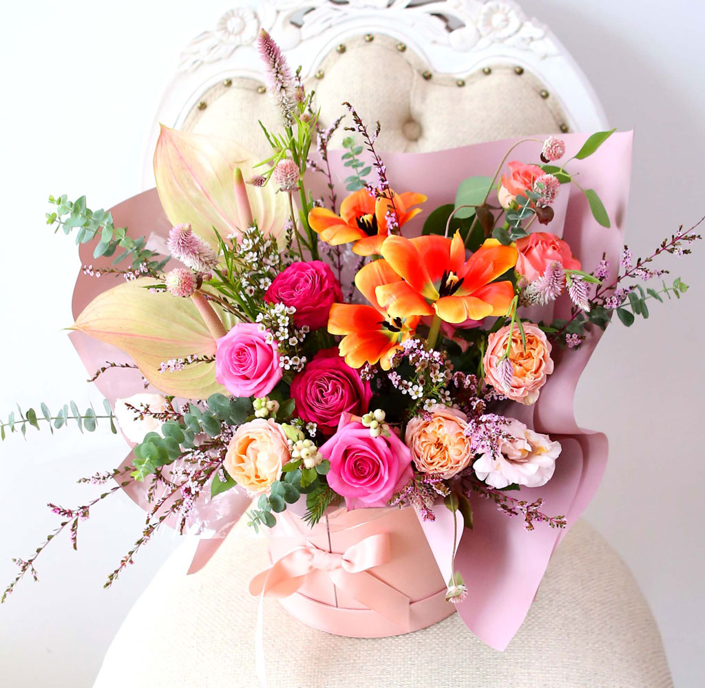 Celebrate Fall -    ɹ