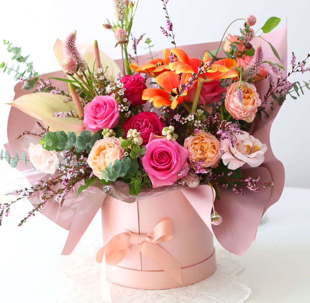 Celebrate Fall -    ɹ