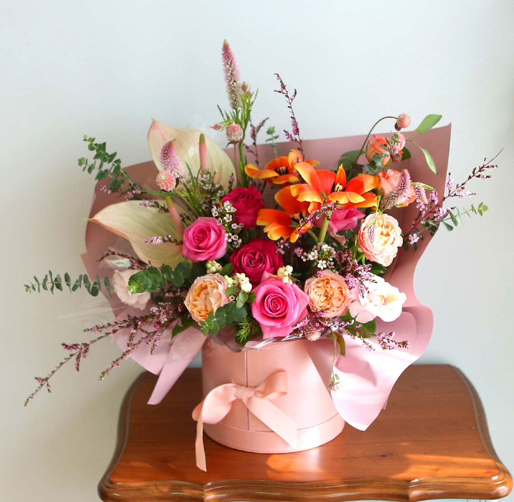 Celebrate Fall -    ɹ