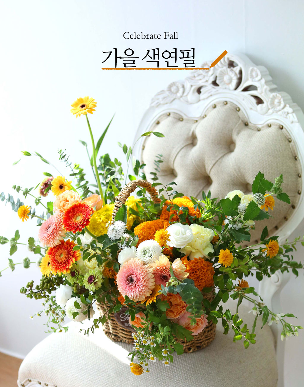 Celebrate Fall -    ɹ