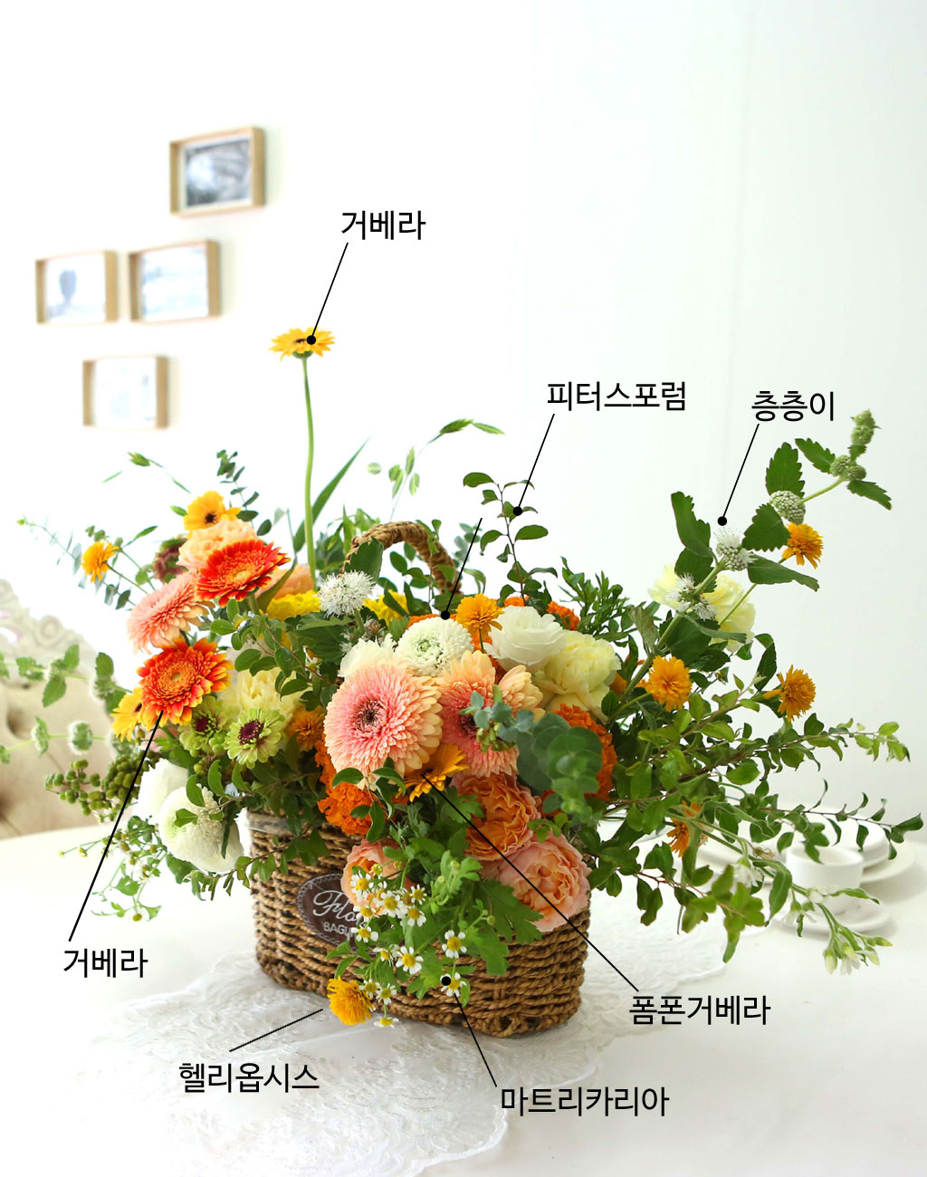 Celebrate Fall -    ɹ