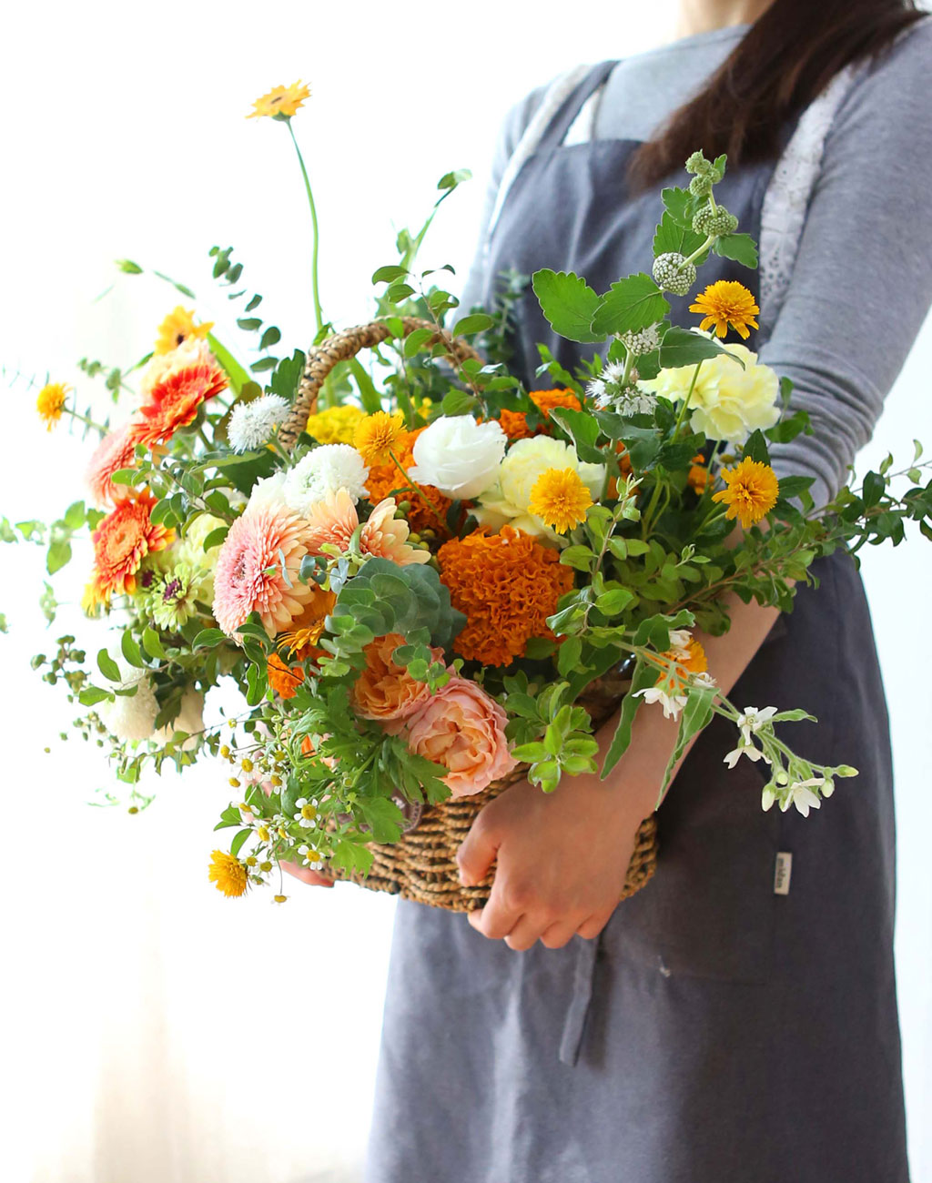 Celebrate Fall -    ɹ