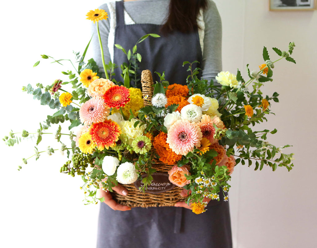 Celebrate Fall -    ɹ