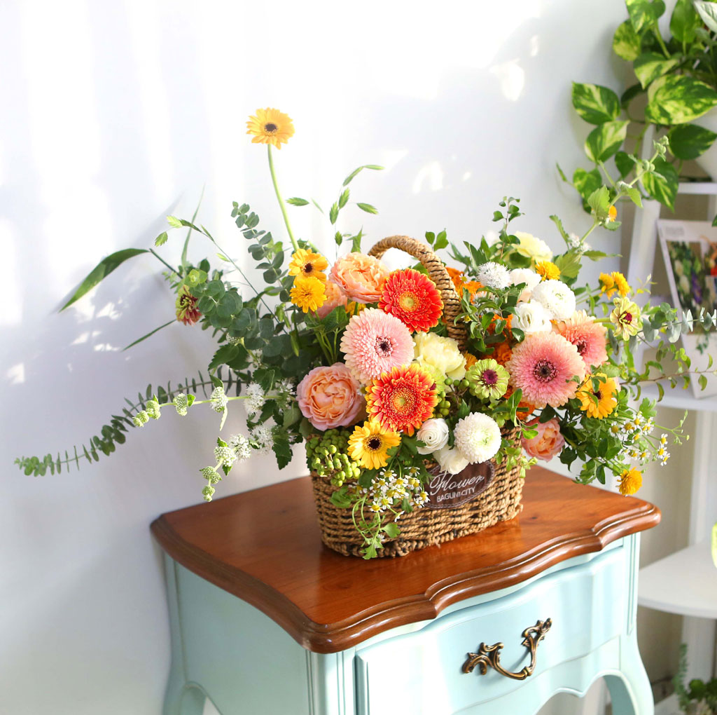 Celebrate Fall -    ɹ